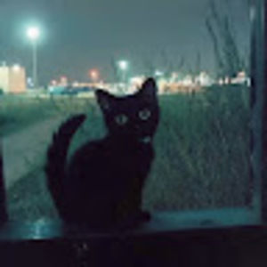 Meet your Posher, Hely